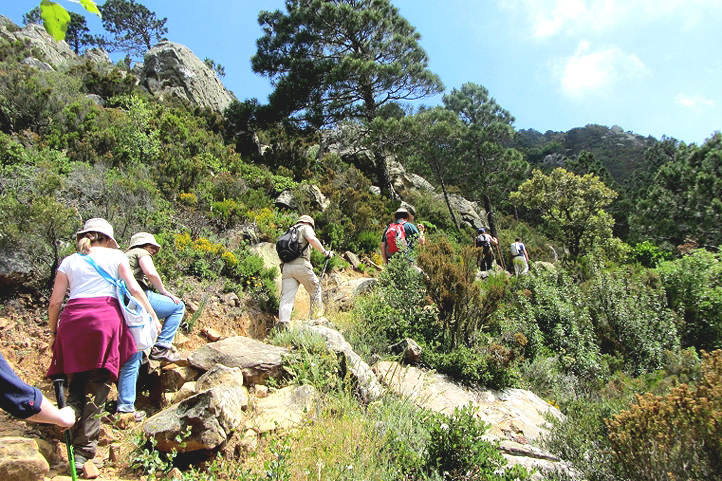 Alcornocales Natural Park walk